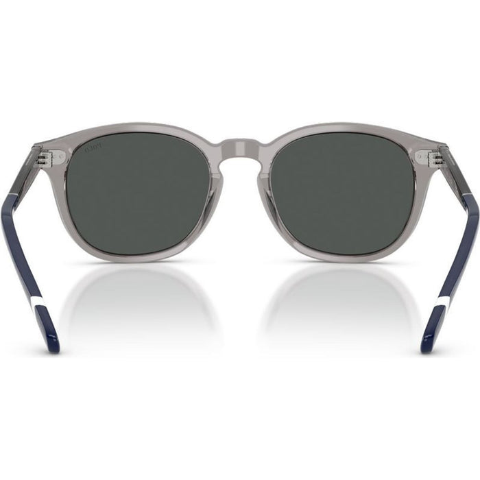 PH4206, Shiny Transparent Grey/Dark Grey Lenses