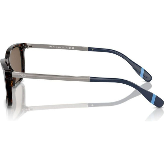 PH4212, Shiny Dark Havana/Brown Lenses