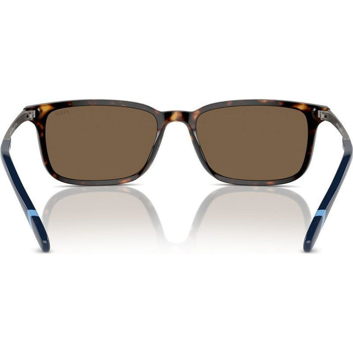 PH4212, Shiny Dark Havana/Brown Lenses