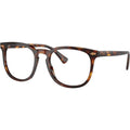 PH4214, Shiny Brown Tortoise/Clear and Brown Lenses