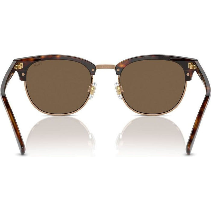 PH4217, Shiny Brown Tortoise/Brown Lenses