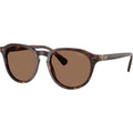 PH4221, Shiny Brown Tortoise/Dark Brown Lenses