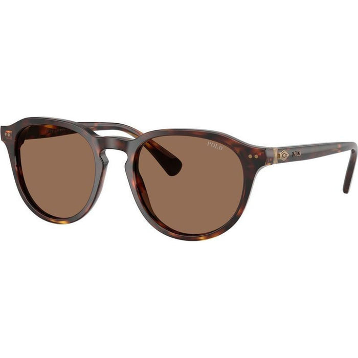 PH4221, Shiny Brown Tortoise/Dark Brown Lenses