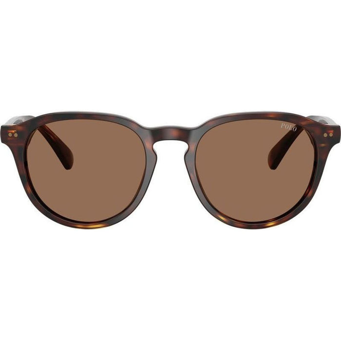 PH4221, Shiny Brown Tortoise/Dark Brown Lenses