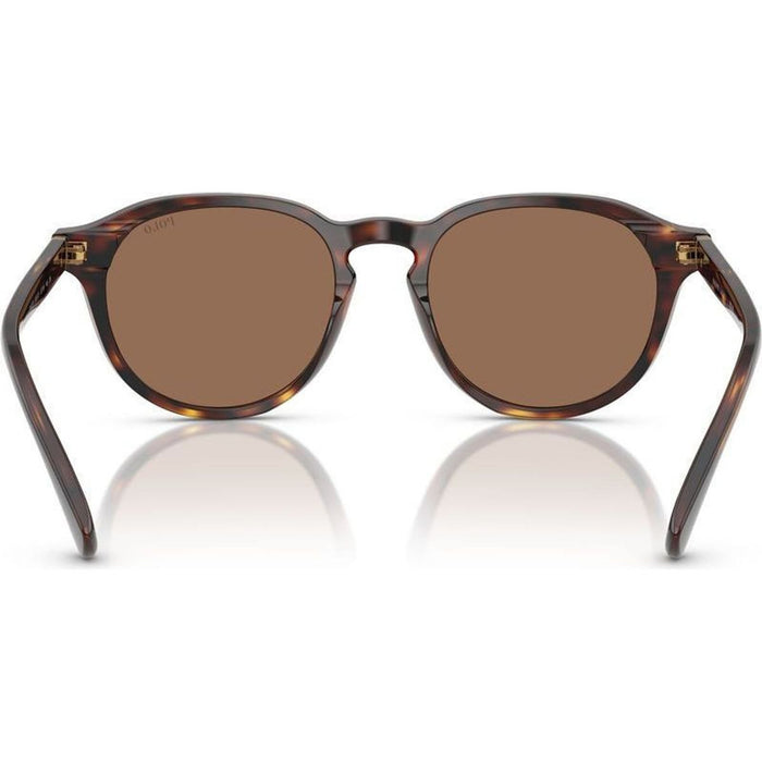 PH4221, Shiny Brown Tortoise/Dark Brown Lenses