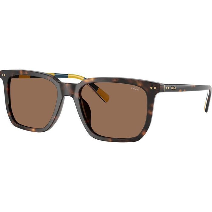 PH4224U, Shiny Dark Havana/Dark Brown Lenses
