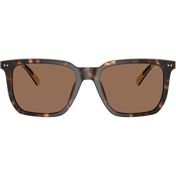 PH4224U, Shiny Dark Havana/Dark Brown Lenses