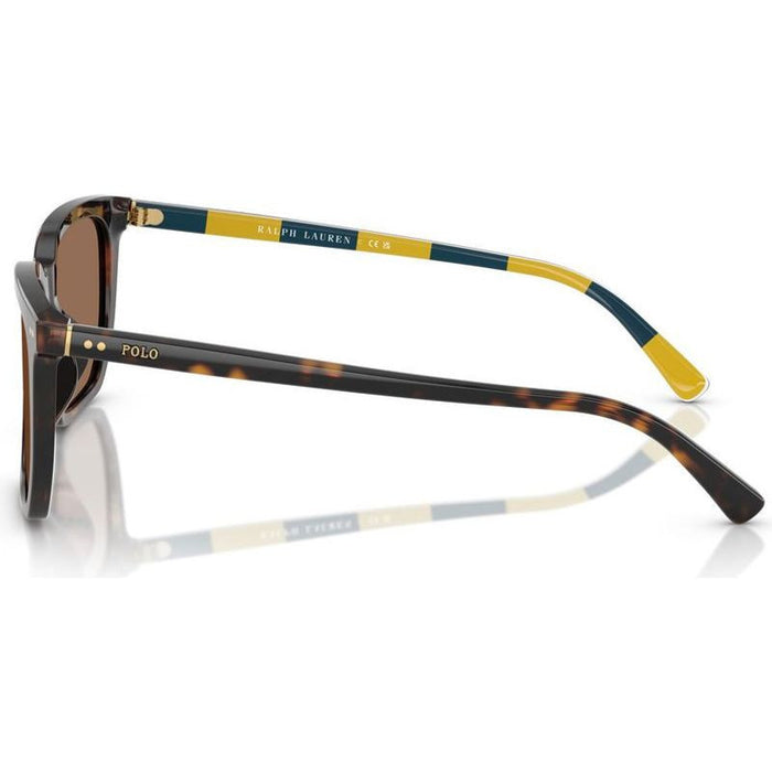 PH4224U, Shiny Dark Havana/Dark Brown Lenses