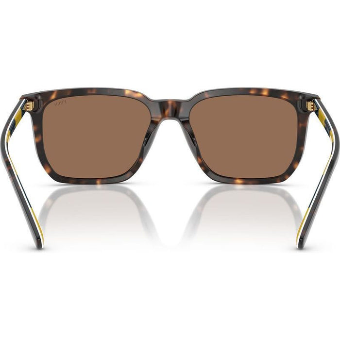 PH4224U, Shiny Dark Havana/Dark Brown Lenses