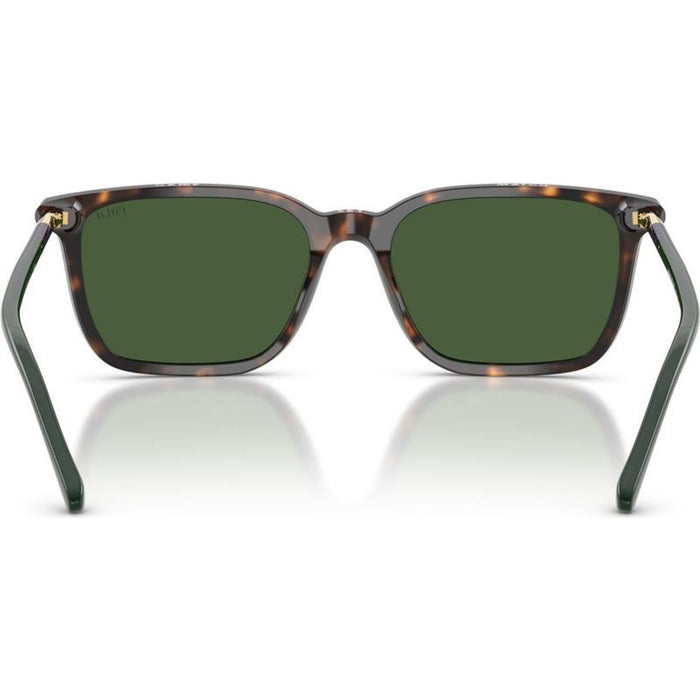 PH4226, Shiny Dark Havana/Green Lenses