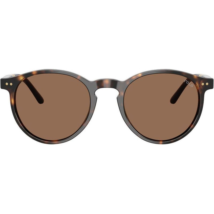 PH4236, Shiny Dark Havana/Brown Lenses