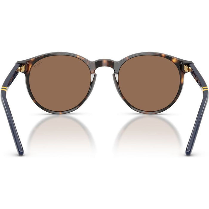 PH4236, Shiny Dark Havana/Brown Lenses