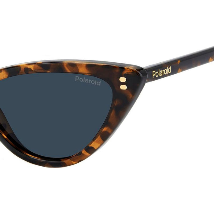 PLD 6246/S, Havana/Blue Polarised Lenses