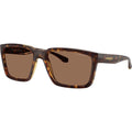 Plot Twist AN4346, Dark Havana/Dark Brown Lenses