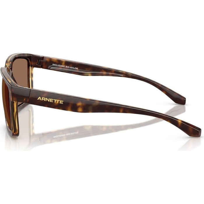 Plot Twist AN4346, Dark Havana/Dark Brown Lenses