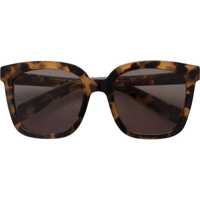 Rivera, Tort/Grey Lenses