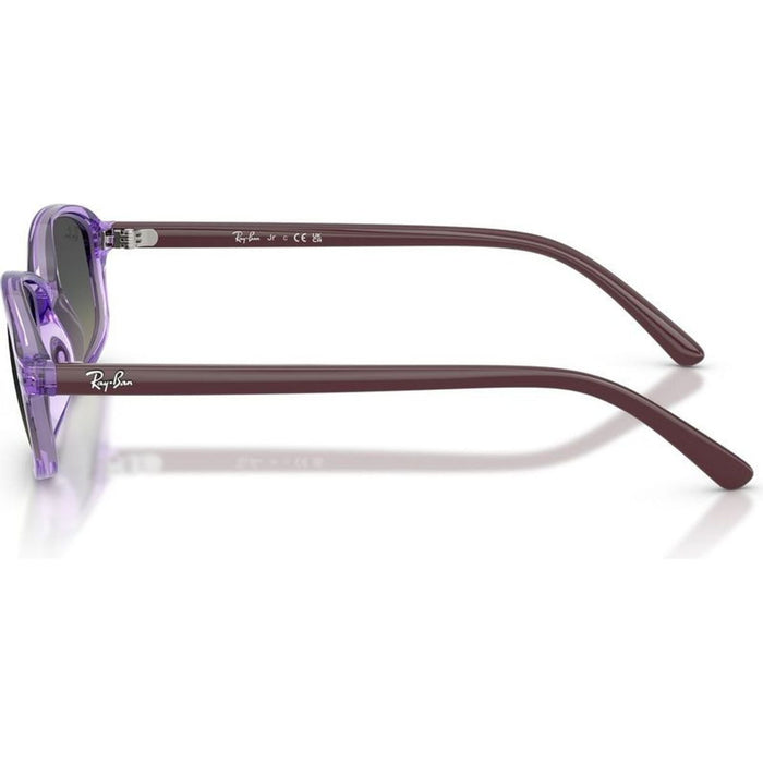 RJ9132S, Transparent Violet/Grey Gradient Lenses
