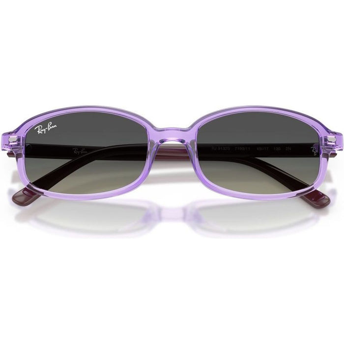 RJ9132S, Transparent Violet/Grey Gradient Lenses