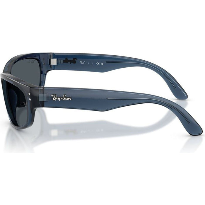 RJ9189S, Transparent Blue/Dark Grey Lenses