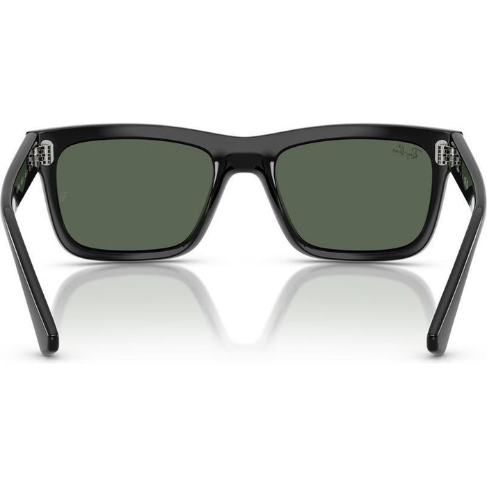 RJ9196S, Black/Dark Green Lenses