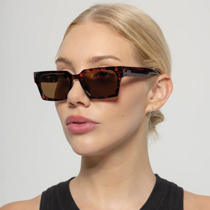 Roco, Tort/Brown Lenses