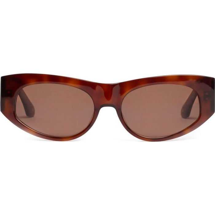 Saint, Brun/Brown Lenses