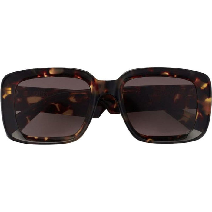 Slater, Tort/Brown Gradient Lenses