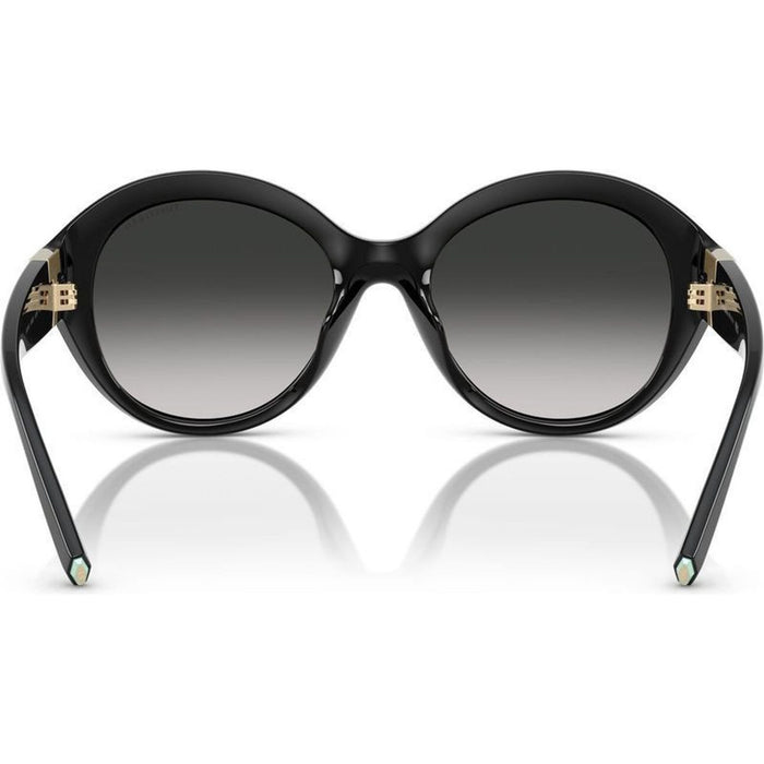 TF4227BU, Black/Grey Gradient Lenses