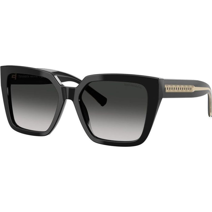 TF4235, Black/Grey Gradient Lenses
