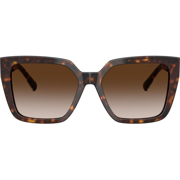 TF4235, Havana/Brown Gradient Lenses