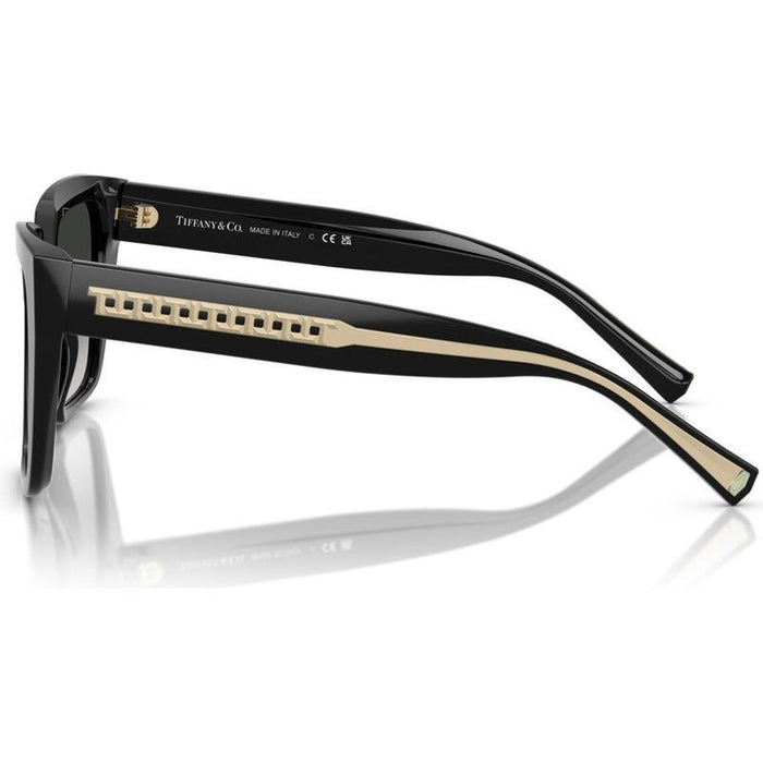 TF4235, Black/Grey Gradient Lenses