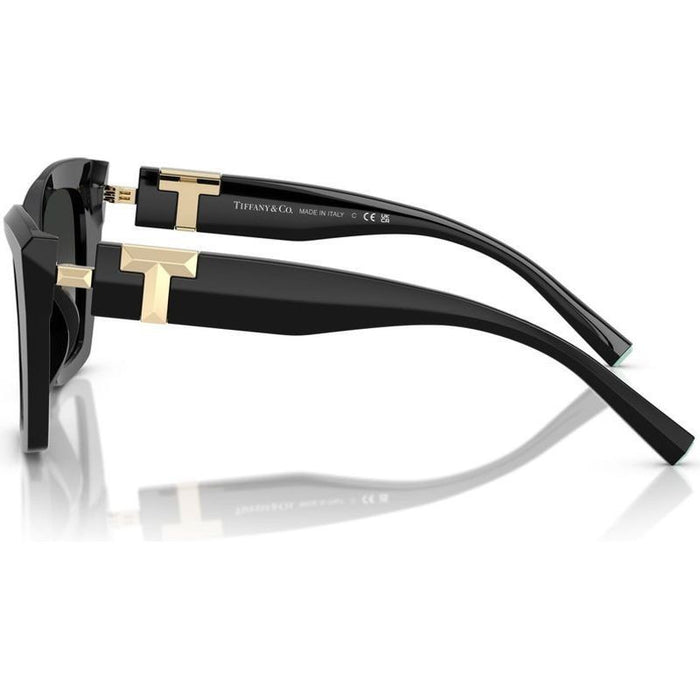 TF4239U, Black/Grey Gradient Lenses