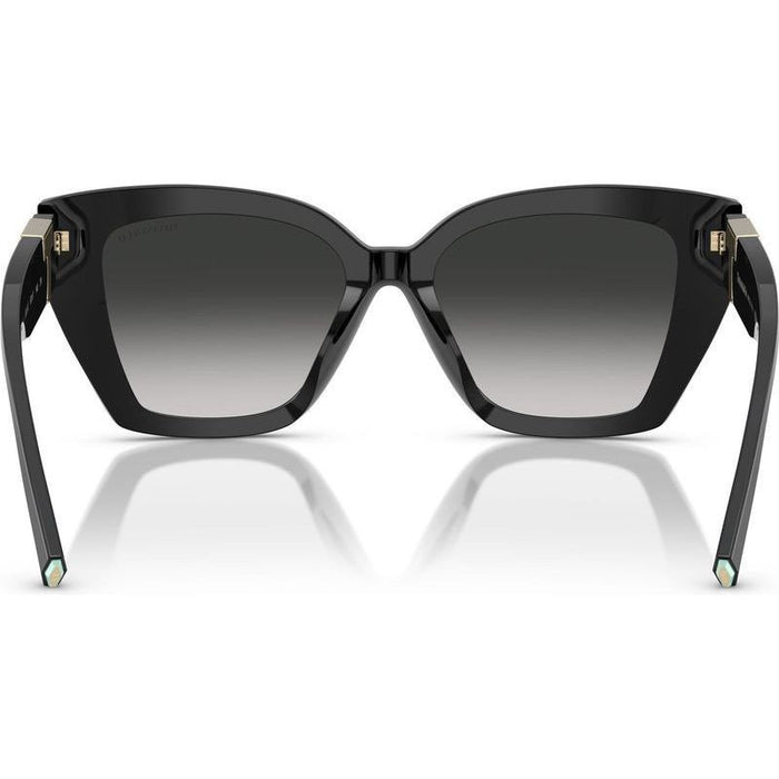 TF4239U, Black/Grey Gradient Lenses