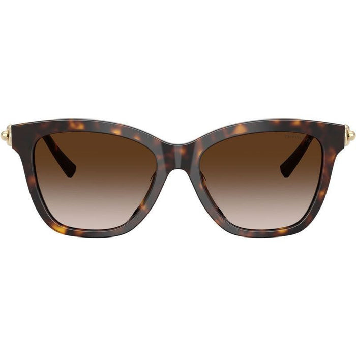 TF4241D, Havana/Brown Gradient Lenses