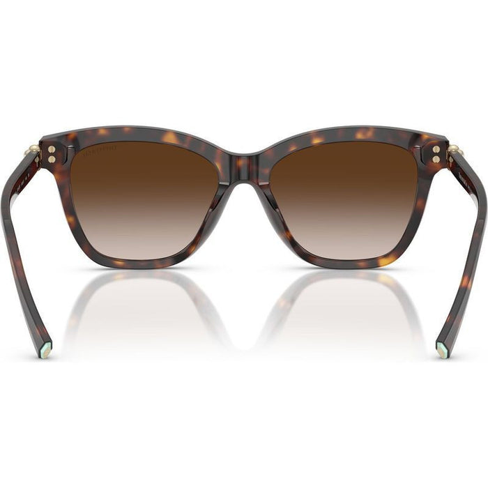 TF4241D, Havana/Brown Gradient Lenses