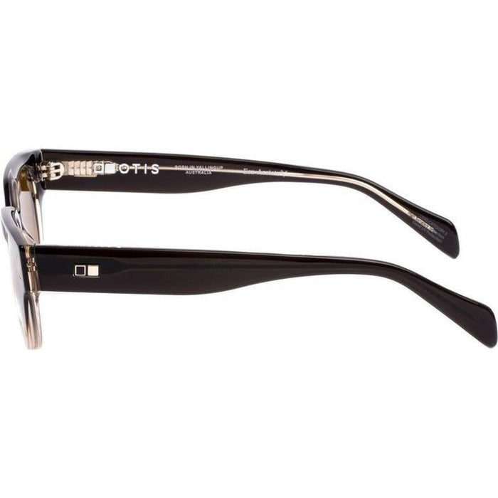 Untitled, Eco Coffee Gradient/Brown Glass Lenses