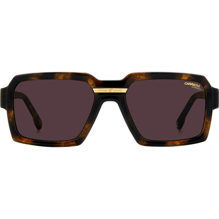 Victory C 15/S, Havana/Mauve Lenses