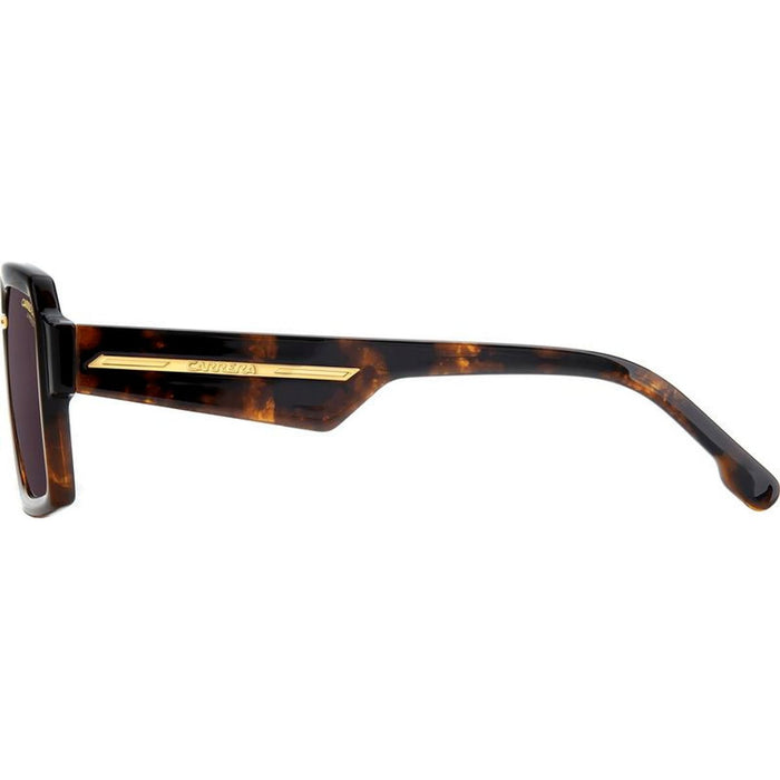 Victory C 15/S, Havana/Mauve Lenses
