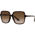 VO5352SF, Dark Havana/Brown Gradient Lenses
